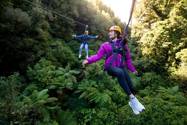 Soar through the lush canopy of Rotorua's ancient forest gliding between towering trees and enjoying unforgettable views as you zip line over a breathtaking landscape. Embrace adventure amidst nature's wonders!